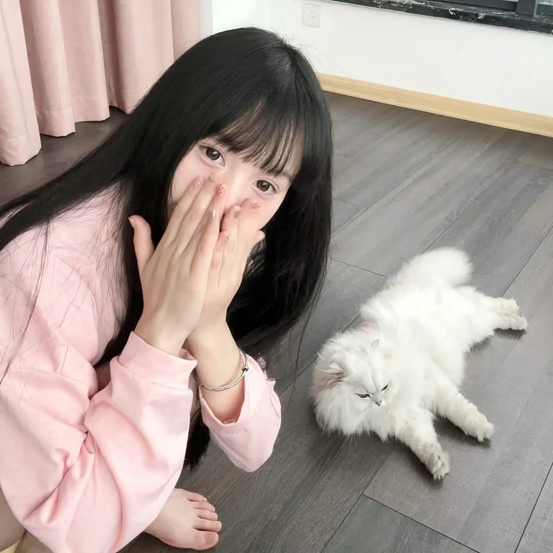 普什帕:崛起