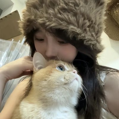 良陈美锦